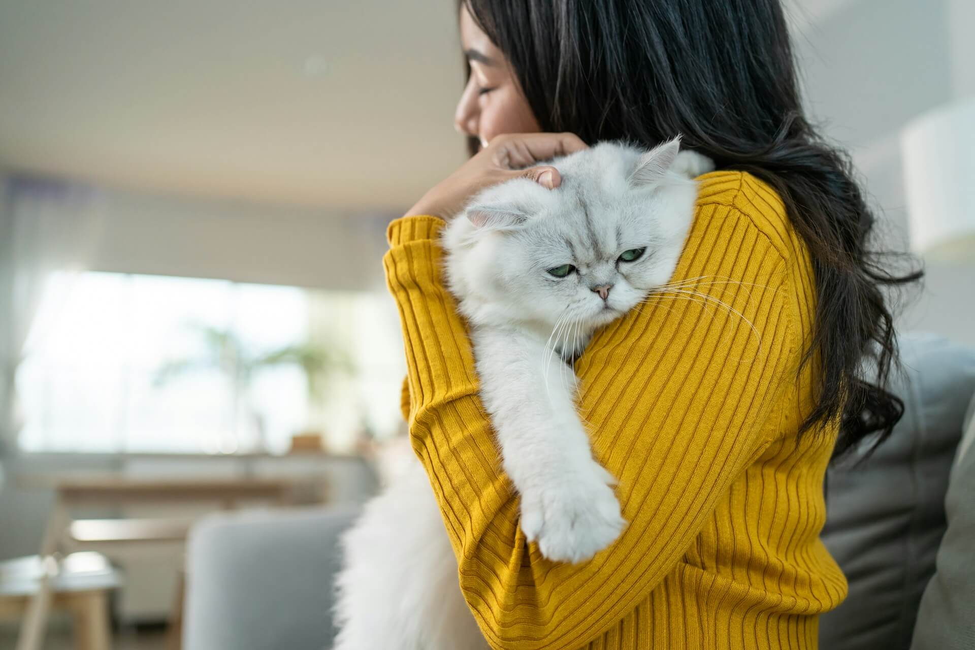 petdomain-pet-supplements-images-26-38