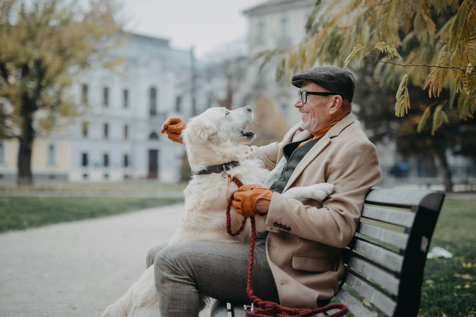 petdomain-pet-supplements-images-26-40