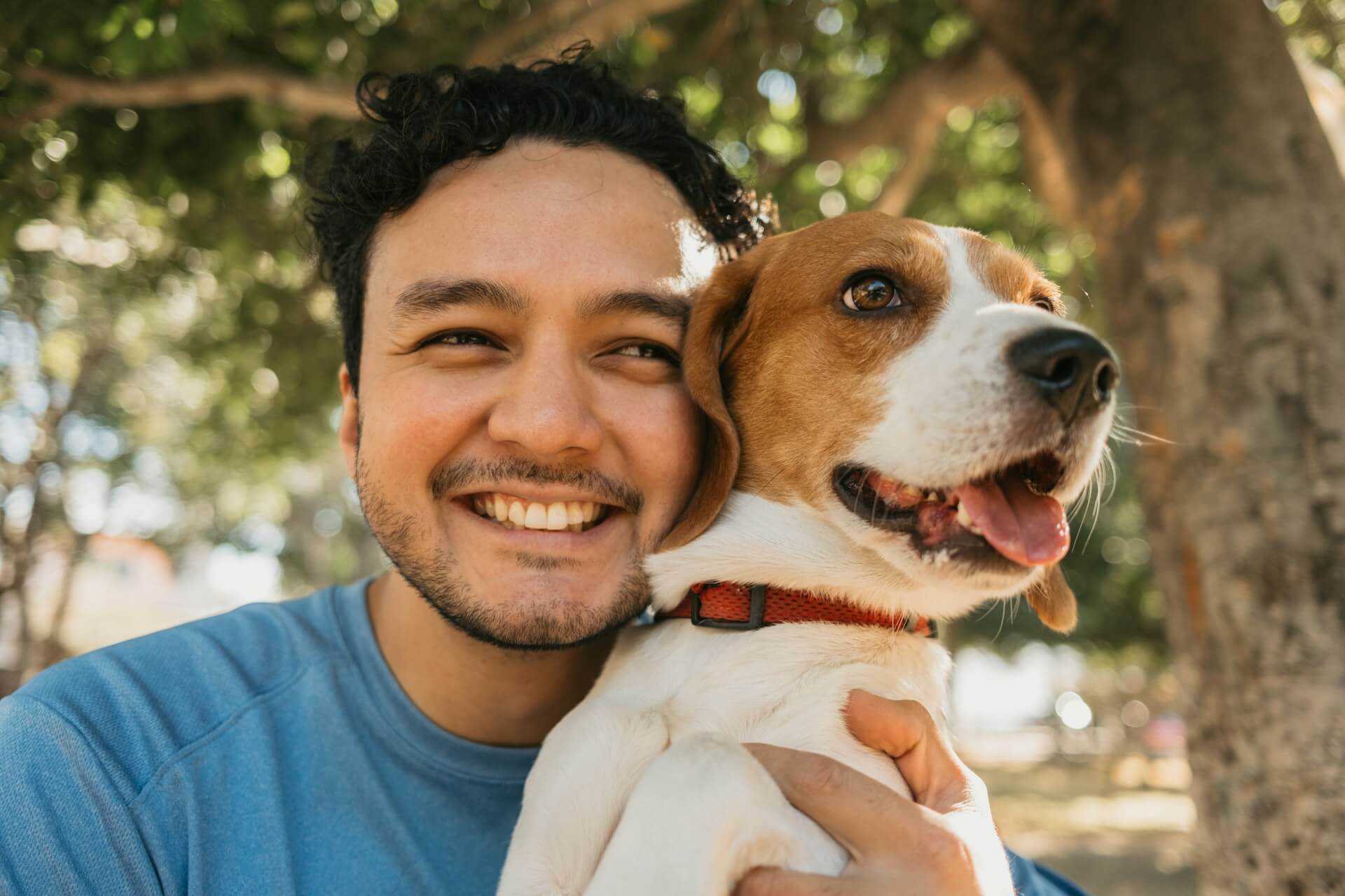 petdomain-pet-supplements-images-26-43