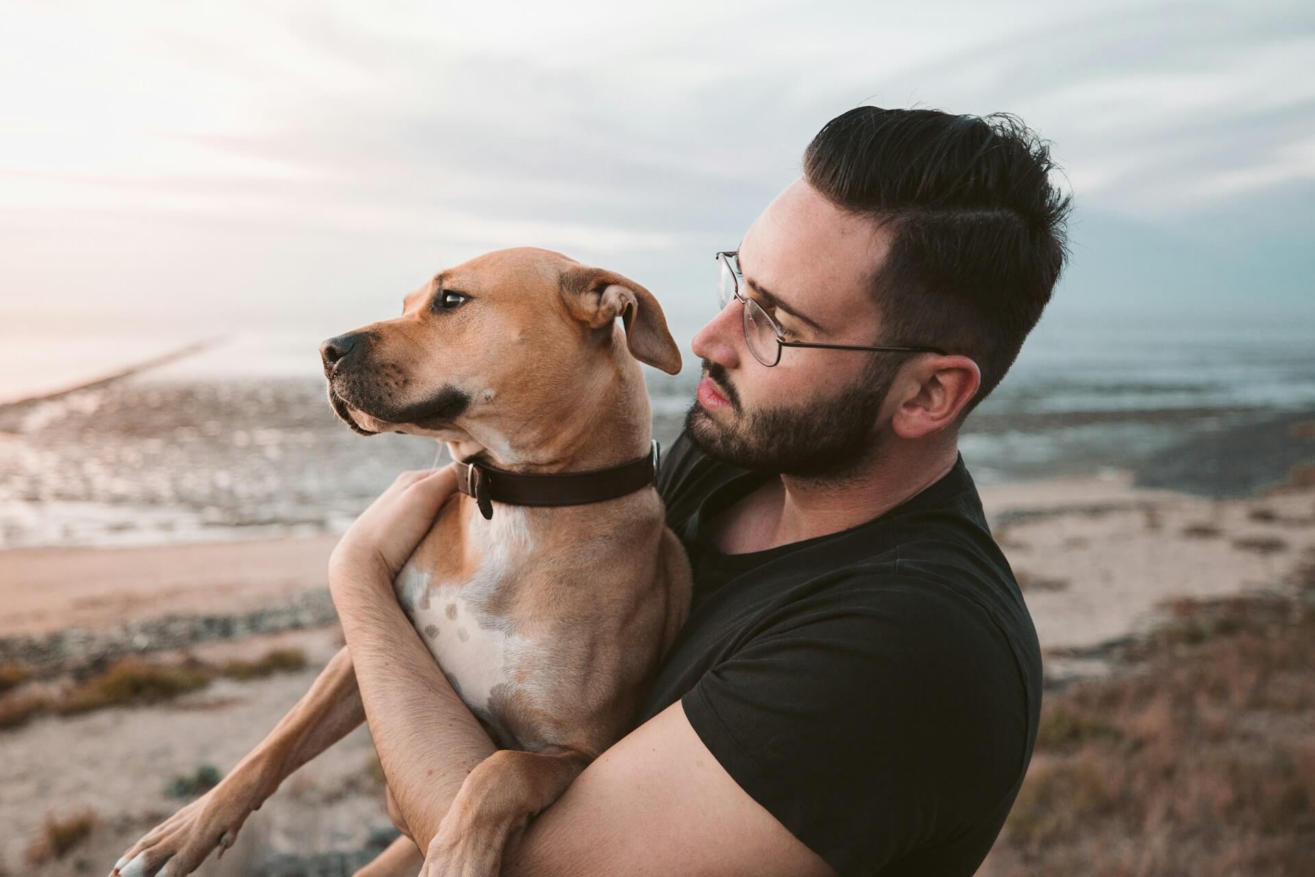 petdomain-pet-supplements-images-26-54